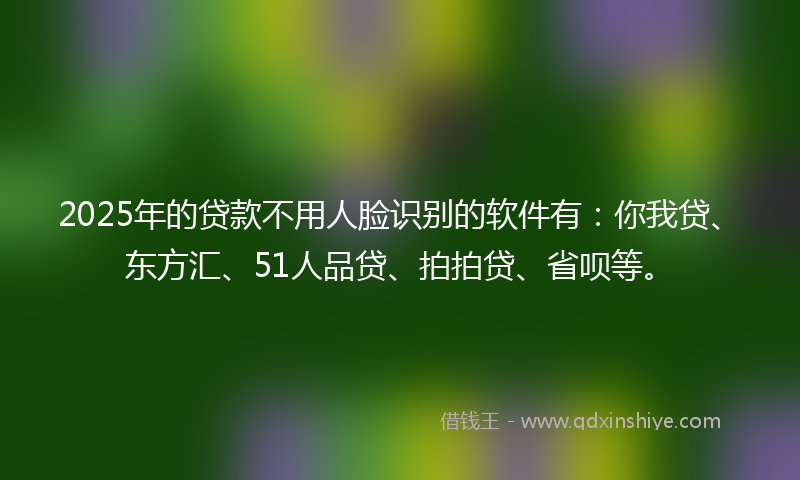 2025年的贷款不用人脸识别的软件有：你我贷、东方汇、51人品贷、拍拍贷、省呗等。