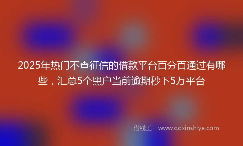 2025年热门不查征信的借款平台百分百通过有哪些，汇总5个黑户当前逾期秒下5万平台