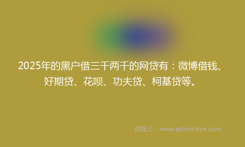 2025年的黑户借三千两千的网贷有：微博借钱、好期贷、花呗、功夫贷、柯基贷等。