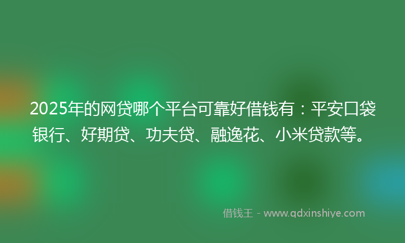 2025年的网贷哪个平台可靠好借钱有：平安口袋银行、好期贷、功夫贷、融逸花、小米贷款等。