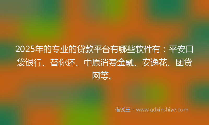 2025年的专业的贷款平台有哪些软件有：平安口袋银行、替你还、中原消费金融、安逸花、团贷网等。