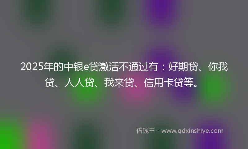 2025年的中银e贷激活不通过有：好期贷、你我贷、人人贷、我来贷、信用卡贷等。