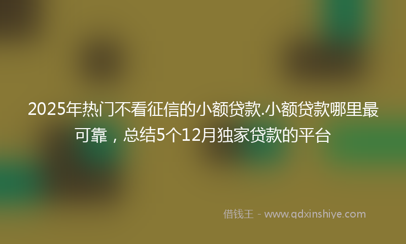 2025年热门不看征信的小额贷款.小额贷款哪里最可靠，总结5个12月独家贷款的平台