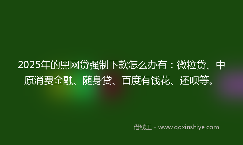 2025年的黑网贷强制下款怎么办有：微粒贷、中原消费金融、随身贷、百度有钱花、还呗等。