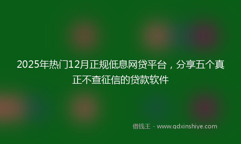 2025年热门12月正规低息网贷平台，分享五个真正不查征信的贷款软件