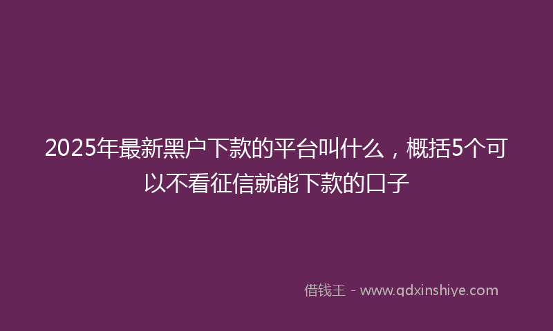 2025年最新黑户下款的平台叫什么，概括5个可以不看征信就能下款的口子