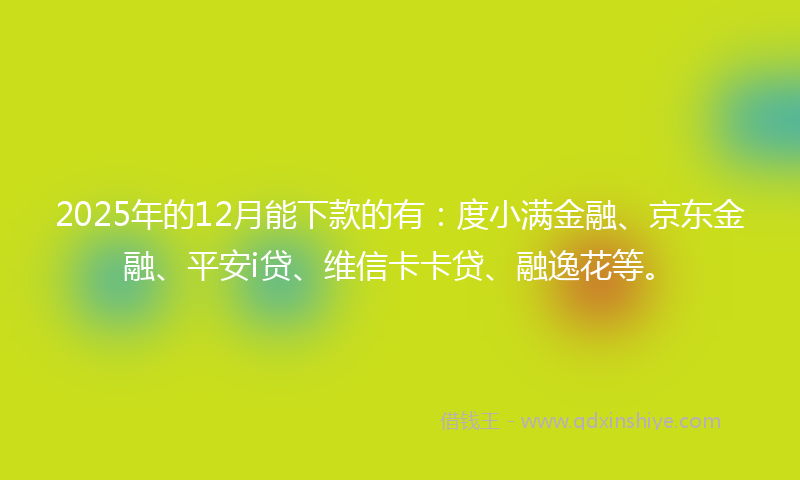 2025年的12月能下款的有：度小满金融、京东金融、平安i贷、维信卡卡贷、融逸花等。