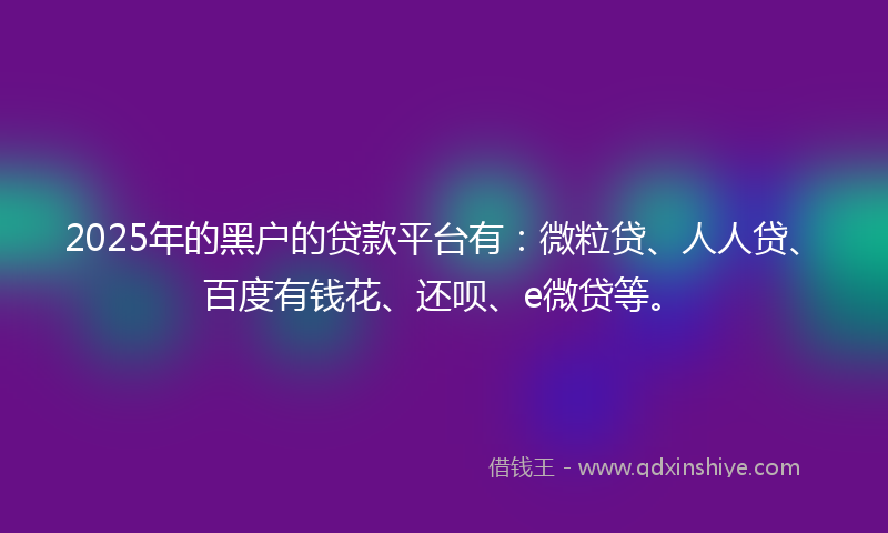 2025年的黑户的贷款平台有：微粒贷、人人贷、百度有钱花、还呗、e微贷等。