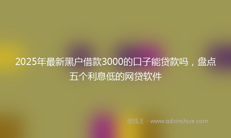 2025年最新黑户借款3000的口子能贷款吗，盘点五个利息低的网贷软件