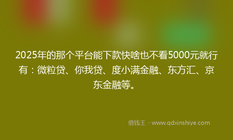 2025年的那个平台能下款快啥也不看5000元就行有：微粒贷、你我贷、度小满金融、东方汇、京东金融等。