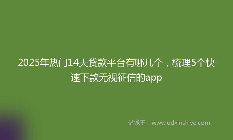 2025年热门14天贷款平台有哪几个，梳理5个快速下款无视征信的app