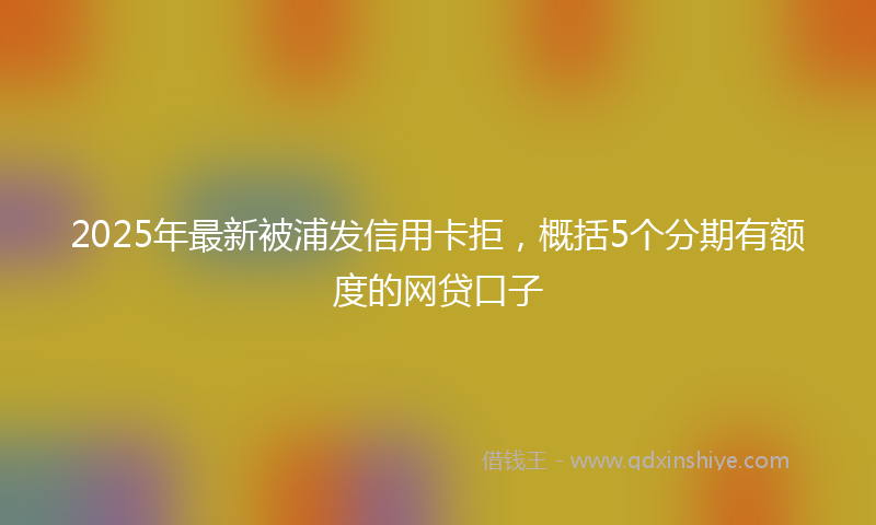 2025年最新被浦发信用卡拒，概括5个分期有额度的网贷口子