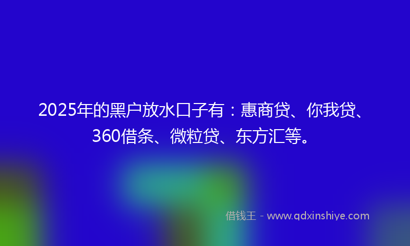 2025年的黑户放水口子有：惠商贷、你我贷、360借条、微粒贷、东方汇等。