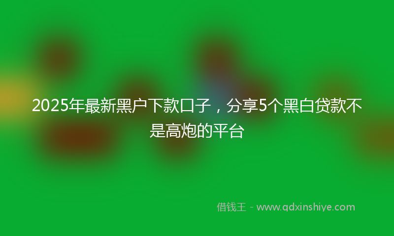 2025年最新黑户下款口子，分享5个黑白贷款不是高炮的平台