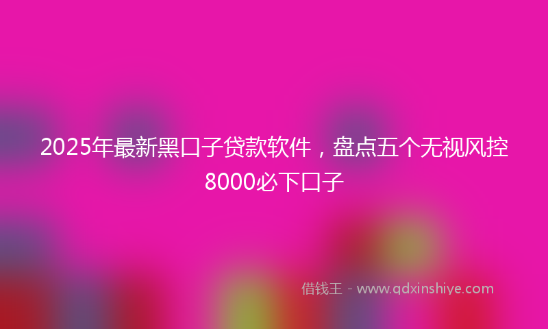 2025年最新黑口子贷款软件，盘点五个无视风控8000必下口子