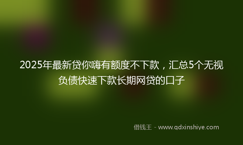 2025年最新贷你嗨有额度不下款，汇总5个无视负债快速下款长期网贷的口子