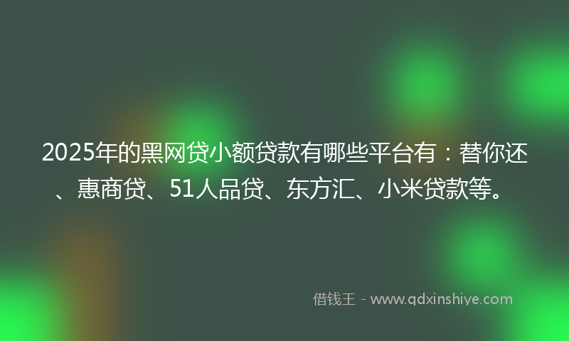 2025年的黑网贷小额贷款有哪些平台有：替你还、惠商贷、51人品贷、东方汇、小米贷款等。