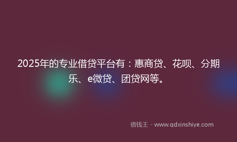 2025年的专业借贷平台有：惠商贷、花呗、分期乐、e微贷、团贷网等。