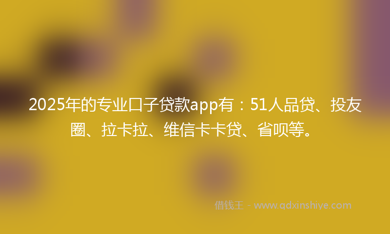 2025年的专业口子贷款app有：51人品贷、投友圈、拉卡拉、维信卡卡贷、省呗等。