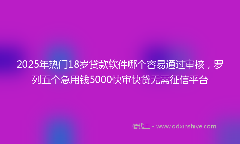 2025年热门18岁贷款软件哪个容易通过审核，罗列五个急用钱5000快审快贷无需征信平台