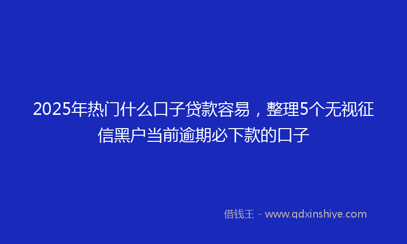 2025年热门什么口子贷款容易，整理5个无视征信黑户当前逾期必下款的口子