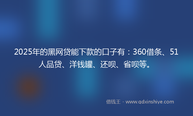 2025年的黑网贷能下款的口子有：360借条、51人品贷、洋钱罐、还呗、省呗等。