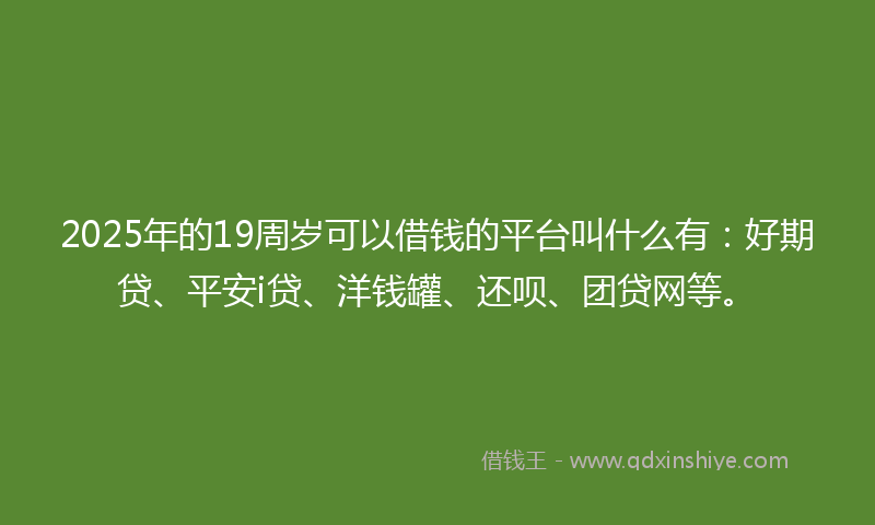 2025年的19周岁可以借钱的平台叫什么有：好期贷、平安i贷、洋钱罐、还呗、团贷网等。