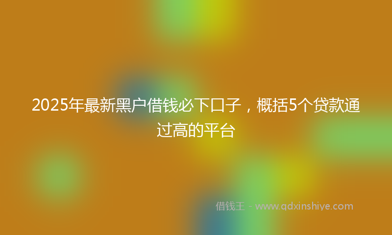 2025年最新黑户借钱必下口子，概括5个贷款通过高的平台