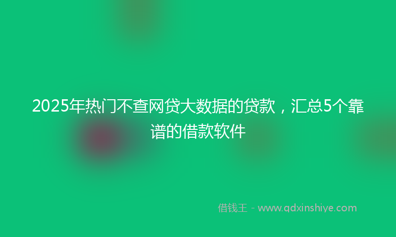 2025年热门不查网贷大数据的贷款，汇总5个靠谱的借款软件