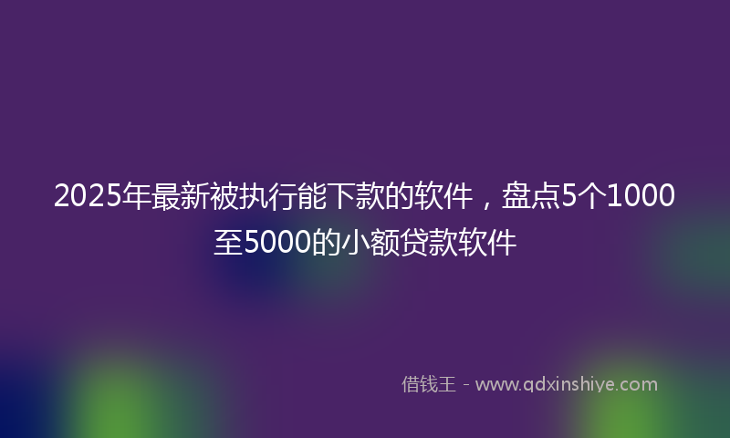 2025年最新被执行能下款的软件，盘点5个1000至5000的小额贷款软件
