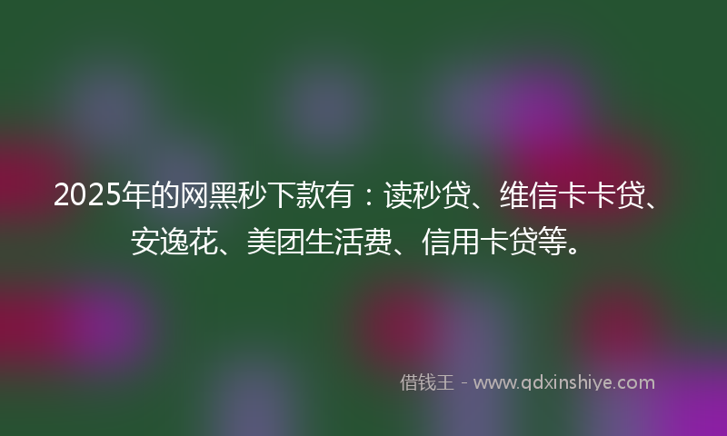 2025年的网黑秒下款有：读秒贷、维信卡卡贷、安逸花、美团生活费、信用卡贷等。