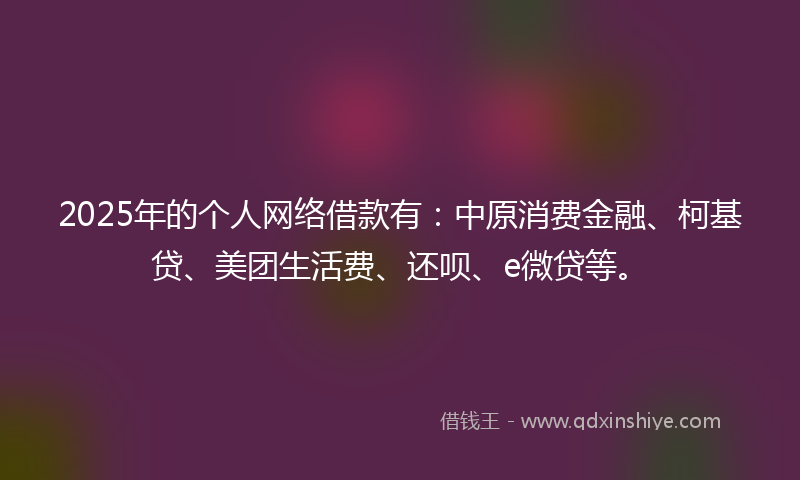 2025年的个人网络借款有：中原消费金融、柯基贷、美团生活费、还呗、e微贷等。