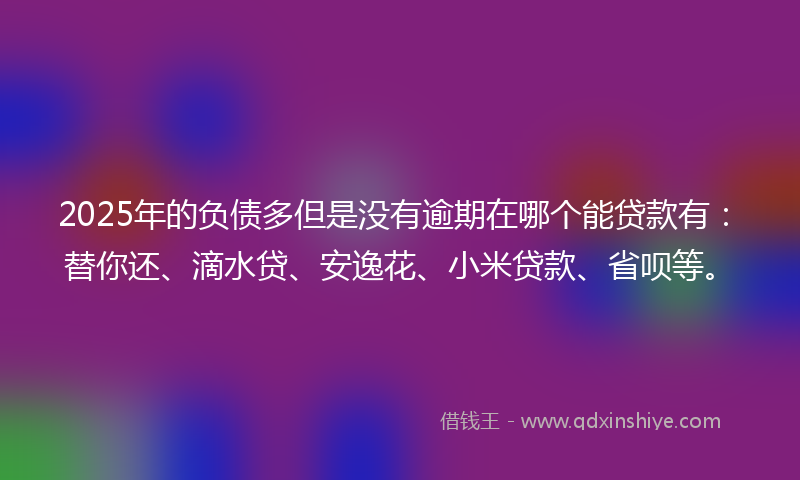 2025年的负债多但是没有逾期在哪个能贷款有：替你还、滴水贷、安逸花、小米贷款、省呗等。