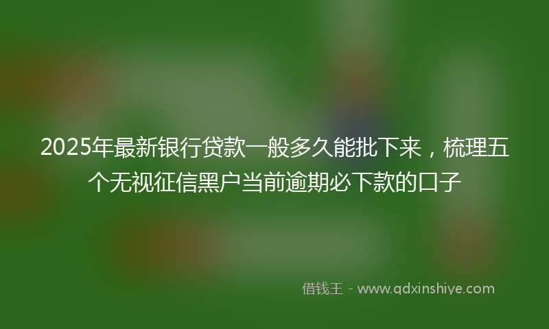 2025年最新银行贷款一般多久能批下来，梳理五个无视征信黑户当前逾期必下款的口子