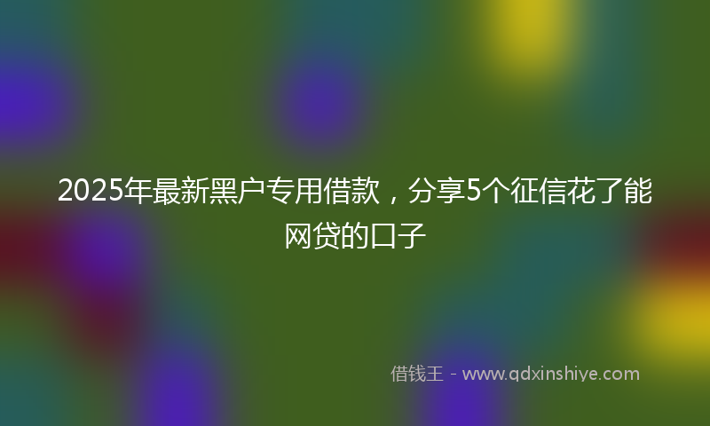 2025年最新黑户专用借款，分享5个征信花了能网贷的口子