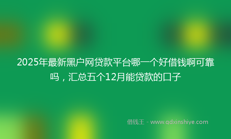 2025年最新黑户网贷款平台哪一个好借钱啊可靠吗,汇总五个12月能贷款的口子