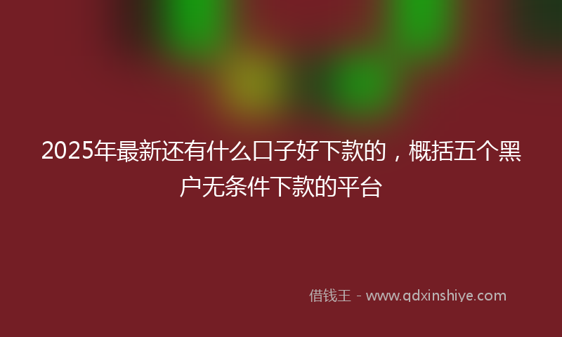 2025年最新还有什么口子好下款的，概括五个黑户无条件下款的平台