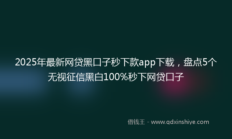 2025年最新网贷黑口子秒下款app下载，盘点5个无视征信黑白100%秒下网贷口子