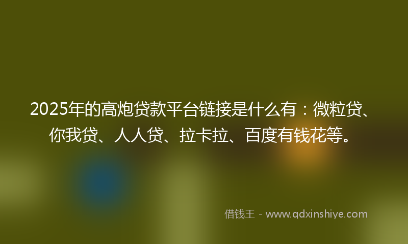 2025年的高炮贷款平台链接是什么有：微粒贷、你我贷、人人贷、拉卡拉、百度有钱花等。
