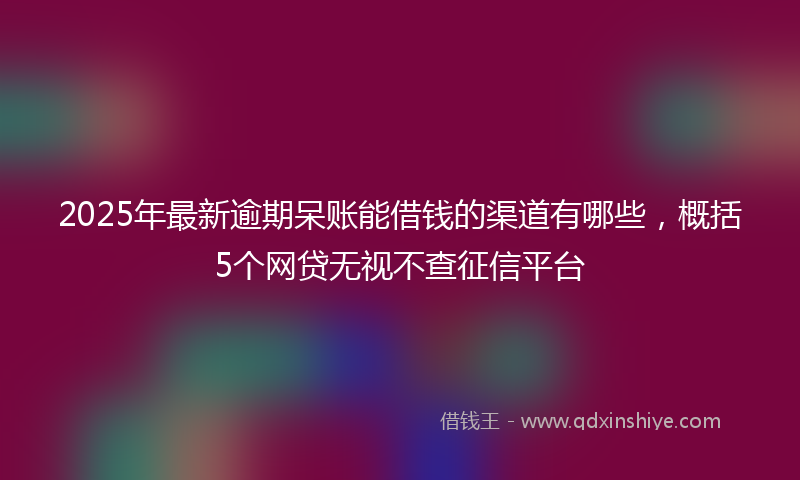 2025年最新逾期呆账能借钱的渠道有哪些，概括5个网贷无视不查征信平台