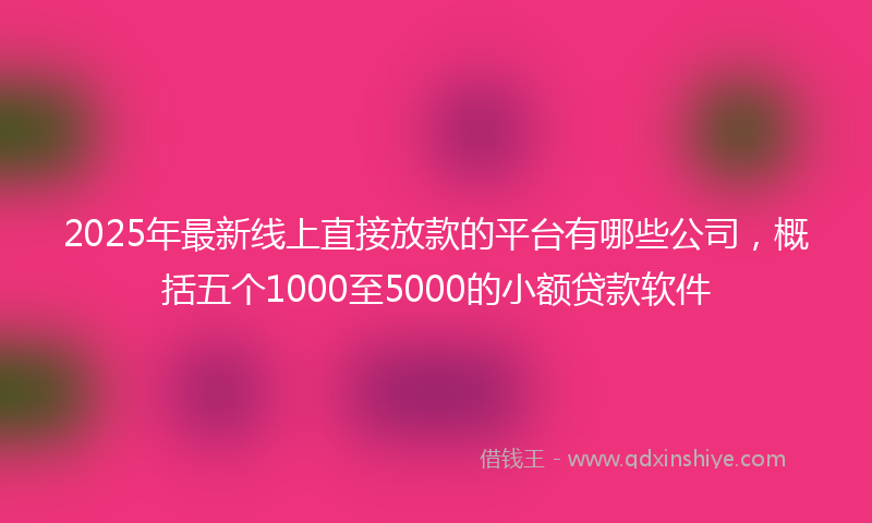 2025年最新线上直接放款的平台有哪些公司，概括五个1000至5000的小额贷款软件