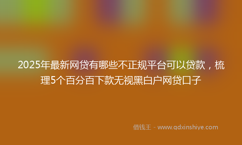 2025年最新网贷有哪些不正规平台可以贷款，梳理5个百分百下款无视黑白户网贷口子