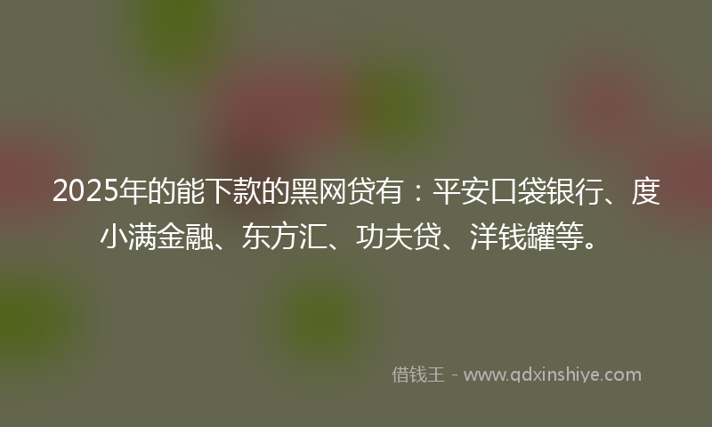 2025年的能下款的黑网贷有：平安口袋银行、度小满金融、东方汇、功夫贷、洋钱罐等。