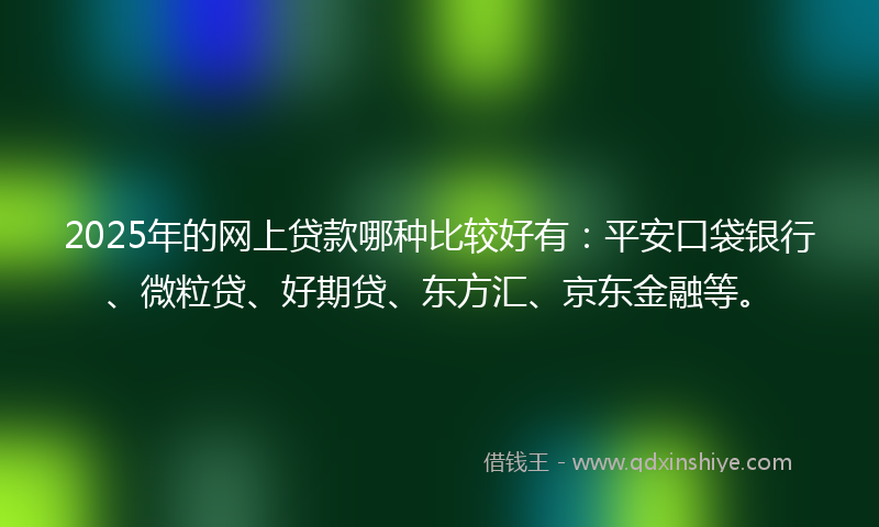 2025年的网上贷款哪种比较好有：平安口袋银行、微粒贷、好期贷、东方汇、京东金融等。