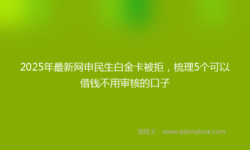 2025年最新网申民生白金卡被拒，梳理5个可以借钱不用审核的口子