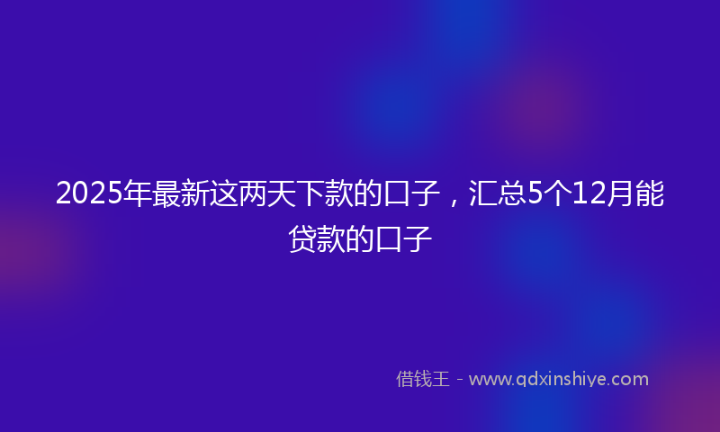 2025年最新这两天下款的口子，汇总5个12月能贷款的口子