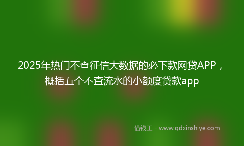 2025年热门不查征信大数据的必下款网贷APP，概括五个不查流水的小额度贷款app