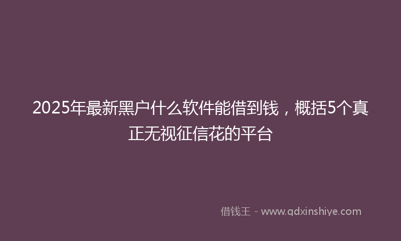 2025年最新黑户什么软件能借到钱，概括5个真正无视征信花的平台