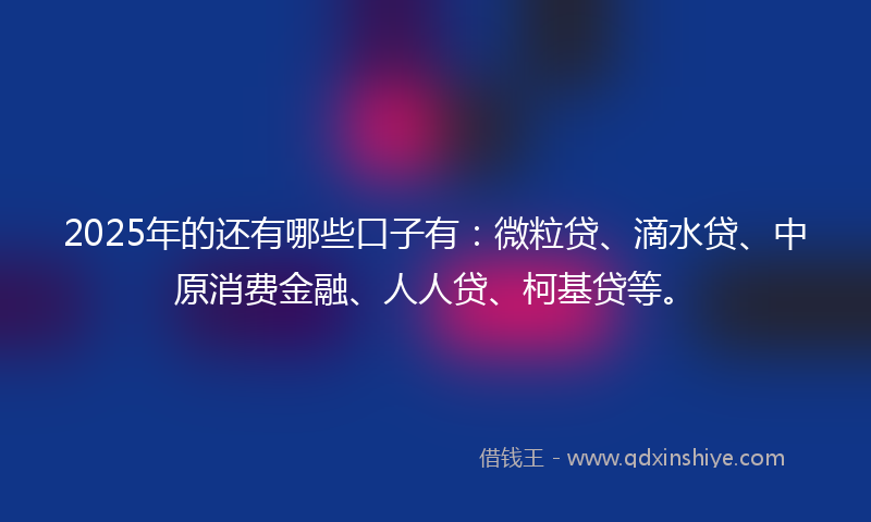 2025年的还有哪些口子有：微粒贷、滴水贷、中原消费金融、人人贷、柯基贷等。
