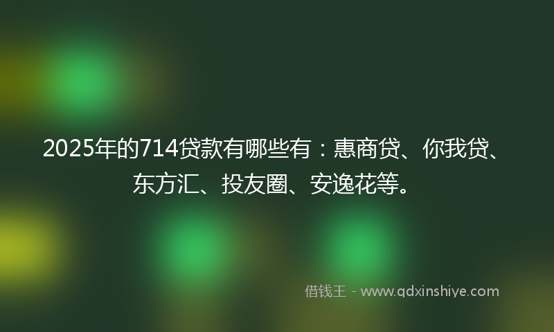 2025年的714贷款有哪些有：惠商贷、你我贷、东方汇、投友圈、安逸花等。